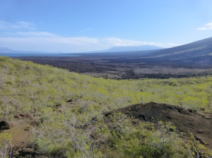 View from the Volcano
