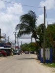 The main strip through Placencia.
